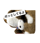 はらぺこタヌタヌ2（個別スタンプ：3）