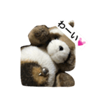 はらぺこタヌタヌ2（個別スタンプ：5）