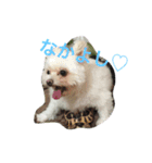 bico（個別スタンプ：1）