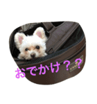 bico（個別スタンプ：2）