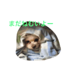 bico（個別スタンプ：6）