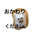 bico（個別スタンプ：7）