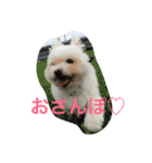 bico（個別スタンプ：8）