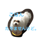 bico（個別スタンプ：12）