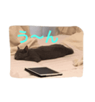 ミルク(みぃ)（個別スタンプ：7）