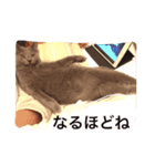 ミルク(みぃ)（個別スタンプ：8）