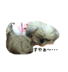 ウチのキュートな犬（個別スタンプ：4）
