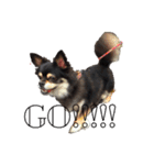 しゃくれchihuahua（個別スタンプ：3）