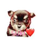 しゃくれchihuahua（個別スタンプ：4）