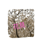 おねがい（個別スタンプ：5）