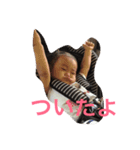 りんの日常（個別スタンプ：1）