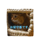 うにとちくわのすたんぷ。（個別スタンプ：15）