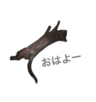 ダニエルUS（個別スタンプ：1）