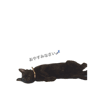 ダニエルUS（個別スタンプ：2）