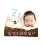 白玉ちゃん◡̈⃝︎（個別スタンプ：7）