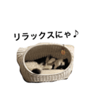 佐助（個別スタンプ：3）