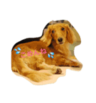 ラテスタンプ（個別スタンプ：4）