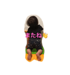 遥飛①（個別スタンプ：5）