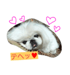 豆大福とサバ（個別スタンプ：6）