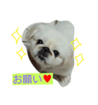 豆大福とサバ（個別スタンプ：8）
