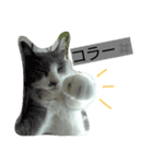 豆大福とサバ（個別スタンプ：10）