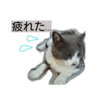 豆大福とサバ（個別スタンプ：16）