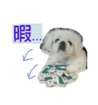 豆大福とサバ（個別スタンプ：19）