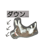 豆大福とサバ（個別スタンプ：20）