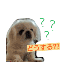 豆大福とサバ（個別スタンプ：21）
