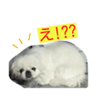 豆大福とサバ（個別スタンプ：22）