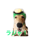 おとぼけゴールデンのルロワ君（個別スタンプ：27）