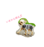 愛犬なな（個別スタンプ：2）