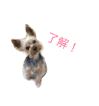愛犬なな（個別スタンプ：3）