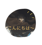 我が家のベットなど（個別スタンプ：5）