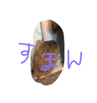 我が家のベットなど（個別スタンプ：13）