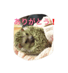我が家のベットなど（個別スタンプ：16）