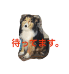 我が家のベットなど（個別スタンプ：23）