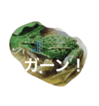 我が家のベットなど（個別スタンプ：31）