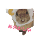 うさぎのメルココ（個別スタンプ：5）