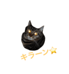ミー＆ミケ（個別スタンプ：2）
