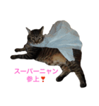 ミー＆ミケ（個別スタンプ：3）