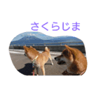 ゆずときなこ（個別スタンプ：13）