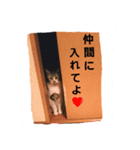 ペットの気持ちシリーズ1（個別スタンプ：4）