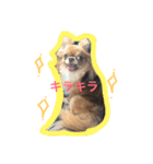 iloveとの（個別スタンプ：2）