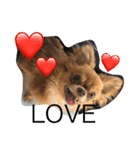 iloveとの（個別スタンプ：6）