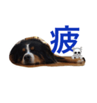アルドラ1（個別スタンプ：4）