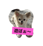 かぼ、ゆ 1回目（個別スタンプ：2）