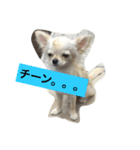 かぼ、ゆ 1回目（個別スタンプ：9）