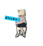 かぼ、ゆ 1回目（個別スタンプ：13）