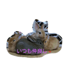 毎日うさぎ（個別スタンプ：7）